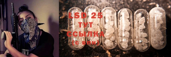 прущие грибы Белокуриха