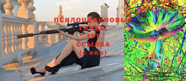 прущие грибы Белокуриха