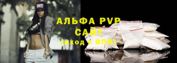 прущие грибы Белокуриха