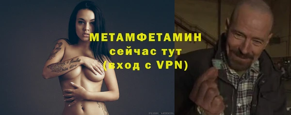 прущие грибы Белокуриха