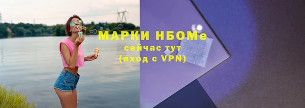 прущие грибы Белокуриха