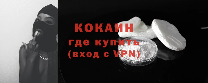 прущие грибы Белокуриха